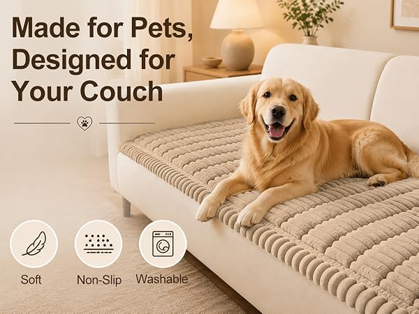Made for Pets, Designed for Your Couch