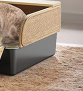 Cat Litter Box