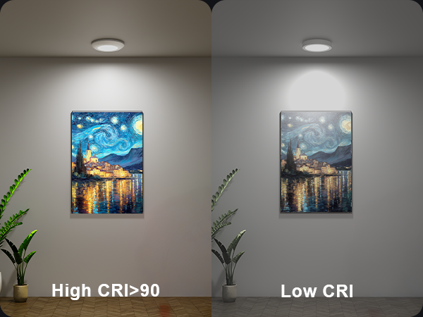 disk light pro