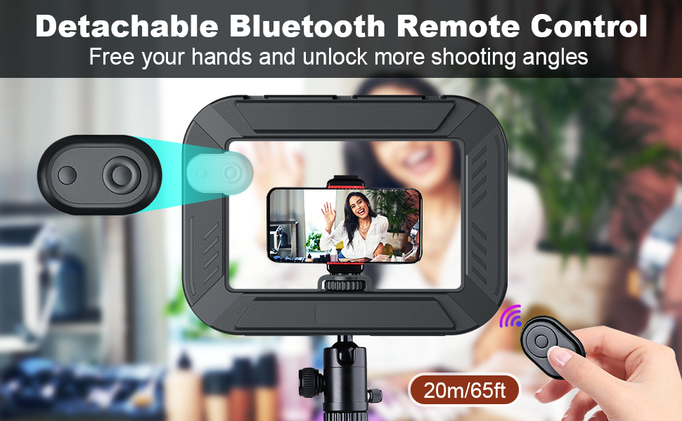 Smartphone Video Rig with Light