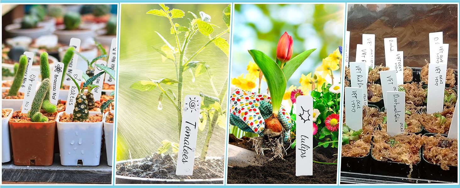 plant labels for seedlings
