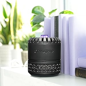 DynaTrap Indoor Fly &amp; Insect Trap has a discreet design