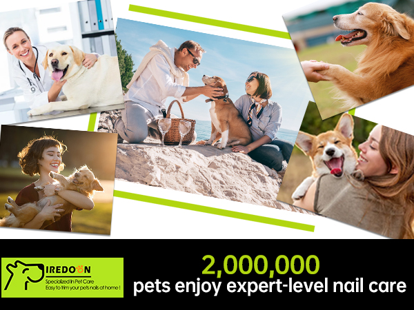 dog nail clippers for grooming