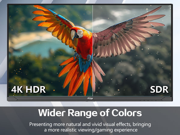 32 Inch 4K Computer Monitor 60HZ