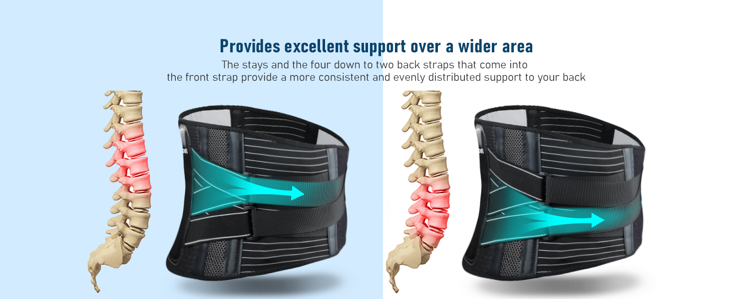 lower back pain brace