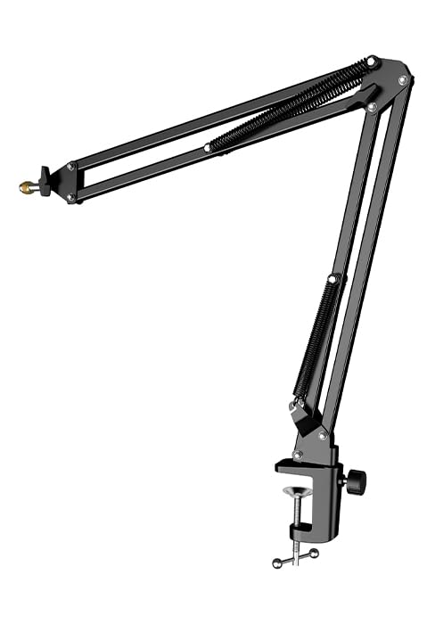 Mic arm cs1