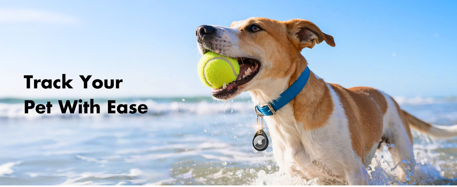 apple airtag keychain