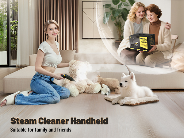 steam cleaner, steamer for cleaning, handheld steam cleaner, steam cleaner for home, steam cleaner
