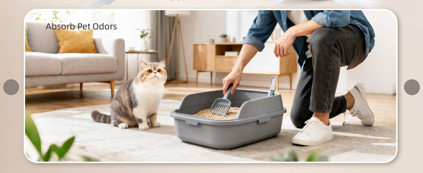 Absorb Pet odors