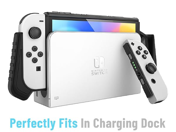 Nintendo Switch OLED Case Armorbox