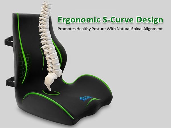 Full back support seat cushion