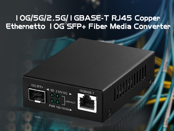 10G Fiber Media Converter
