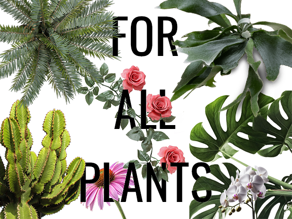 For all plants