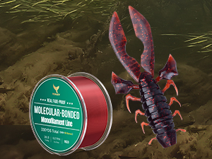 fishing line and lures