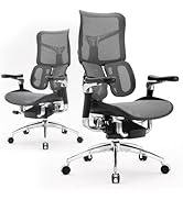 SIHOO Doro S300 Ergonomic Office Chair, Computer Chair, Gaming Chair with Dual Dynamic Lumbar Sup...
