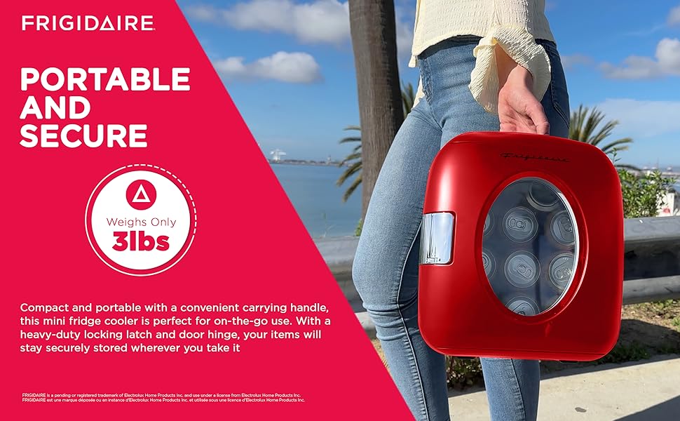 mini fridge cooler