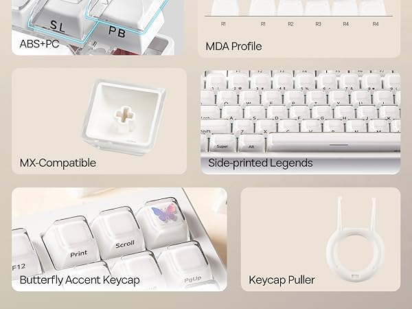 Lusterfly jelly kecaps set