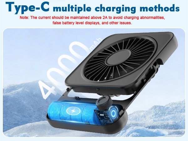 cruise fan approved carnival