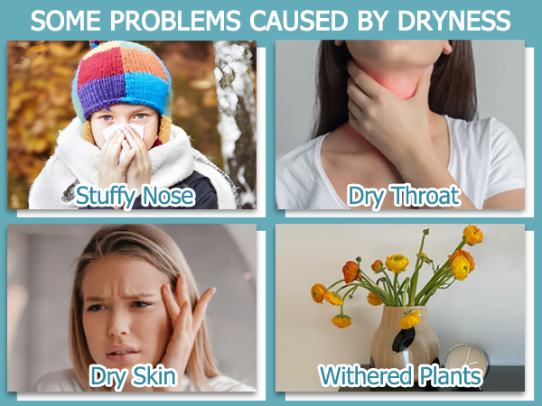 Humidifier for Bedroom