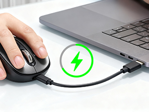laptop mouse