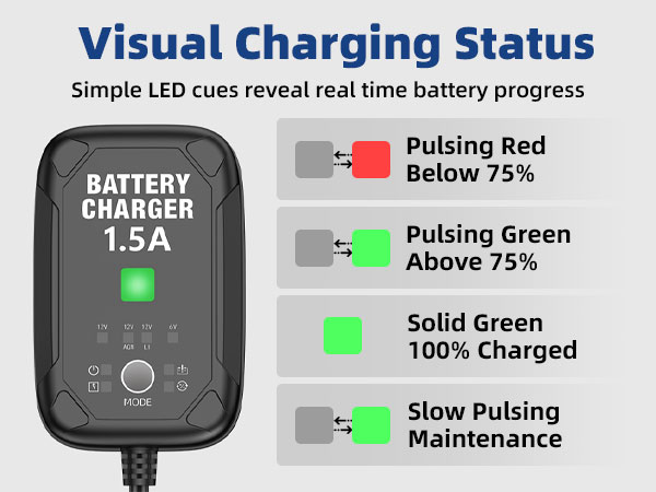 6 volt battery charger