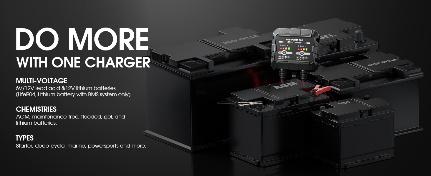 2A*2 battery charger