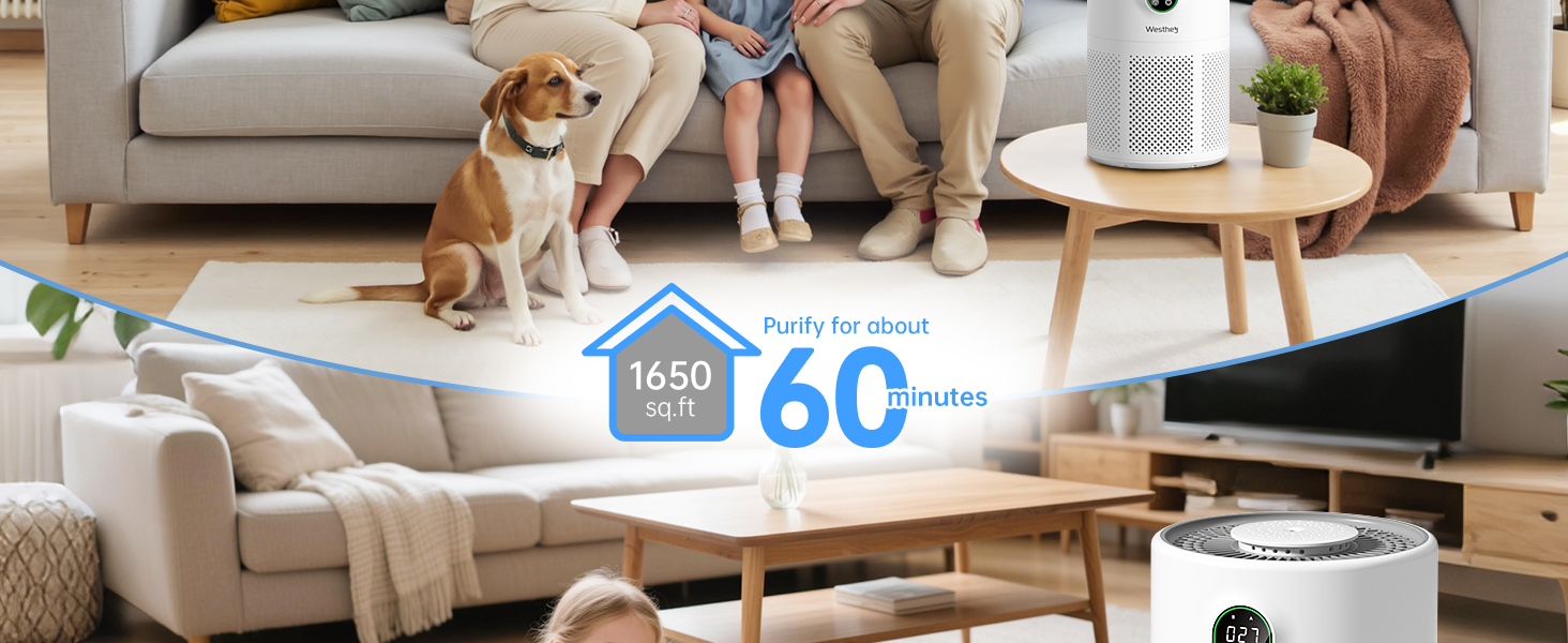 Air purifiers for home covers an area up to 1,650 sq ft