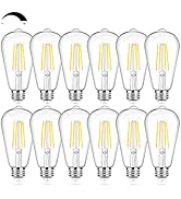 12Packs Vintage LED Edison Bulbs, 60W Equivalent 7W, 800Lumens, Dimmable ST64 Antique LED Filamen...