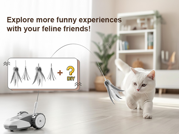 Interactive Cat Toy