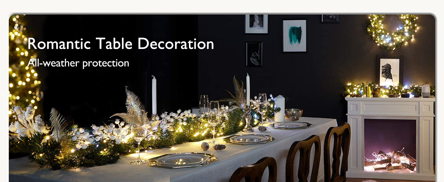 led fairy lights