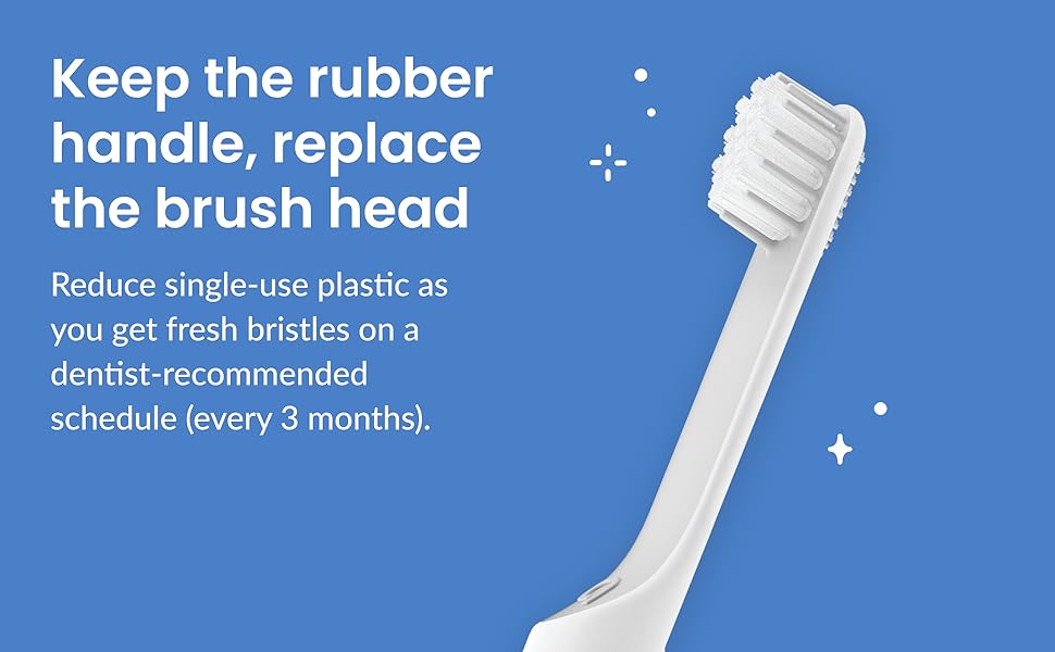keep the rubber handle, replace the brush head every 3 months