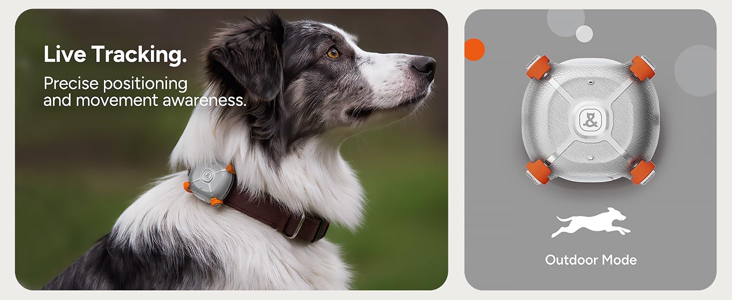 Dog &amp;amp; Cat GPS Tracker