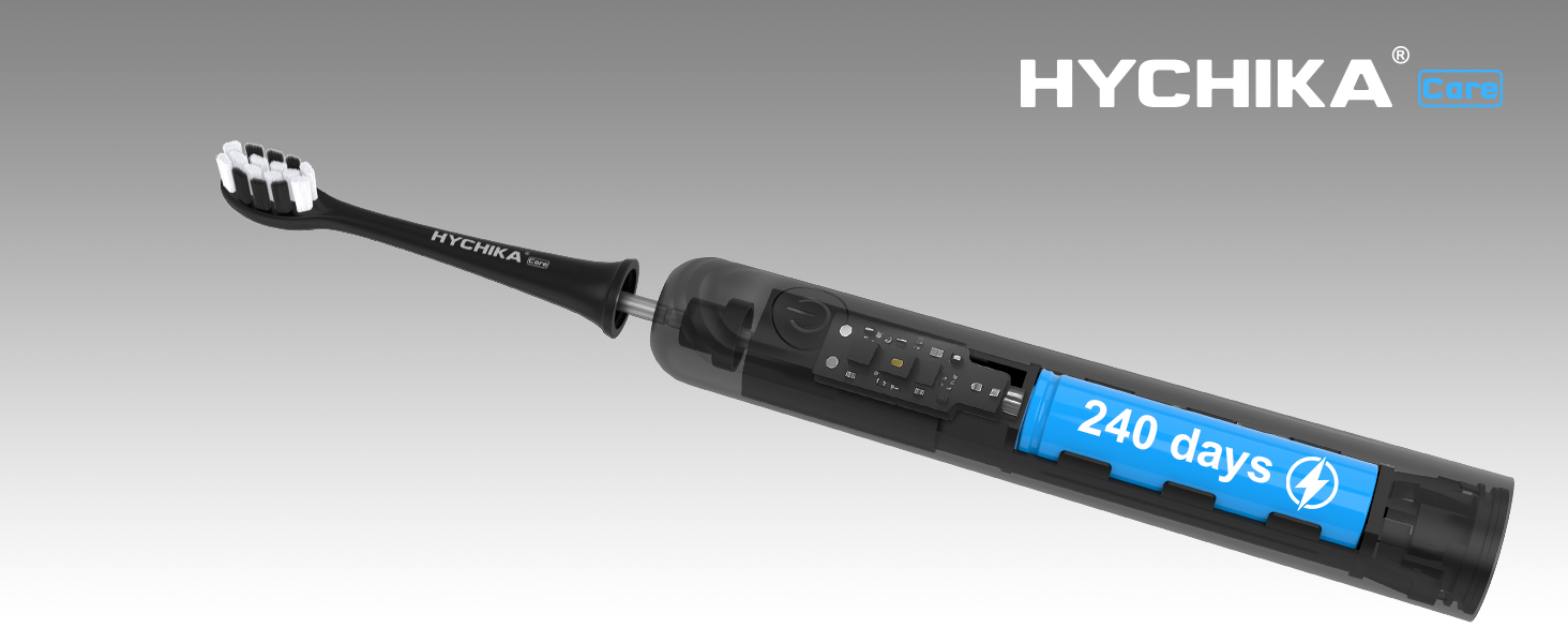 toothbrush electric rechargeable