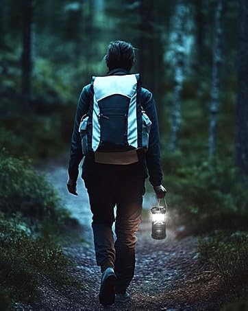 https://m.media-amazon.com/images/S/aplus-media-library-service-media/cc1638f9-829f-437a-98e7-fd7160fe7028.__CR498,0,479,600_PT0_SX362_V1___.jpg