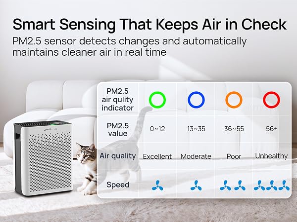 air purifier with air quality monitoring