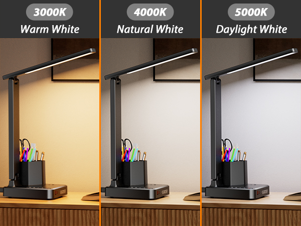 Desk Lamp with 2 USB Charging Ports,2 Pen Holders