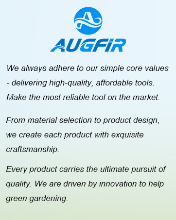 Augfir