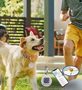 Dog Tags Personalized for Pets,Dog Name Tags,No Subscription Fees,Modifiable Pet Online P...
