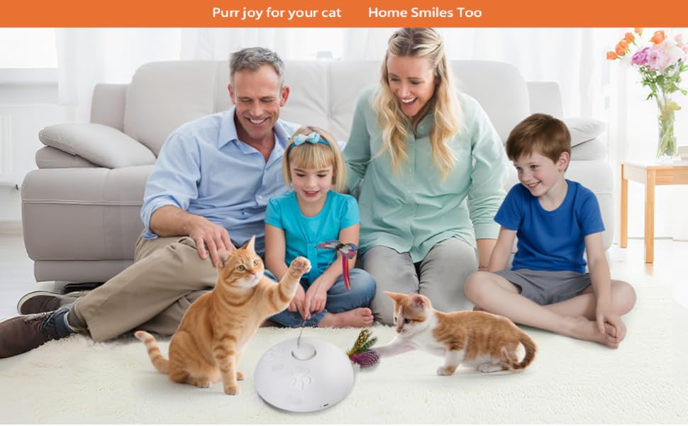 Purr joy for your cat Home smiles too