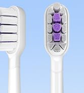 HOSOKA Toothbrush Heads, 6 Count Replacement Toothbrush Heads for Adults, Compatible with HOSOKA ...