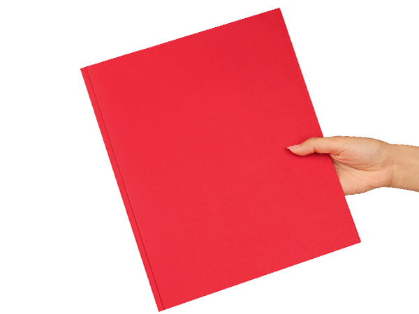 FUCDTEFC 2 Pocket Folders with Prongs