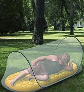 bed canopy