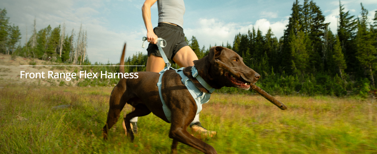 Ruffwear Front Range Flex Harness soft knit everyday dog vest.