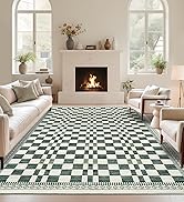 Living Room Area Rug