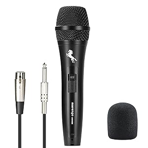 microphone