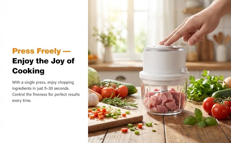 Electric Garlic Chopper A+3