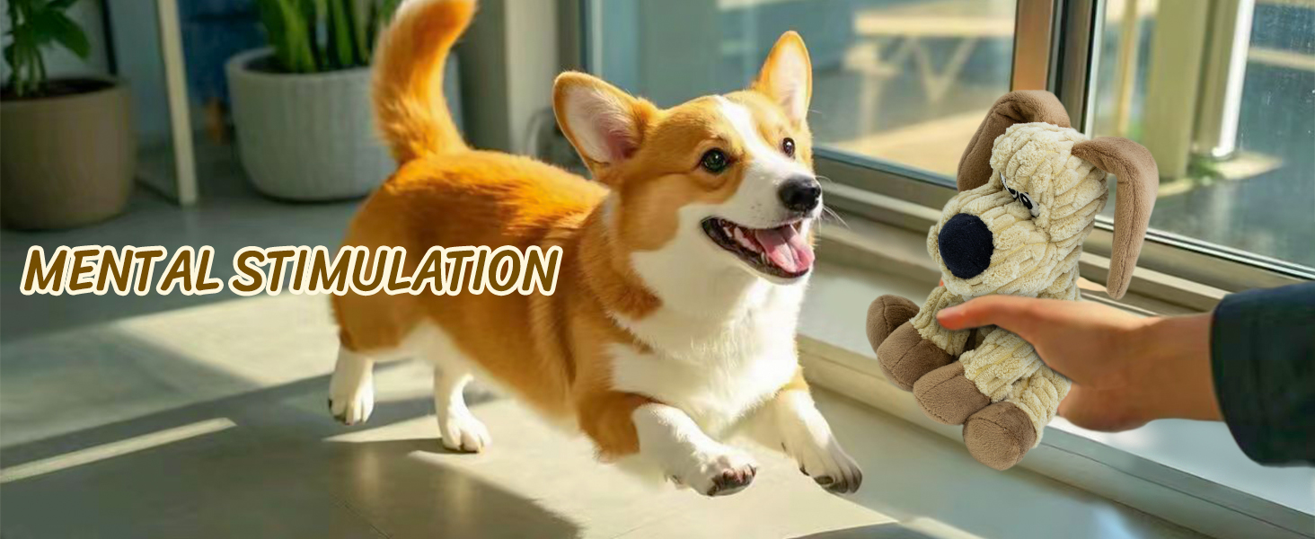interactive dog toys