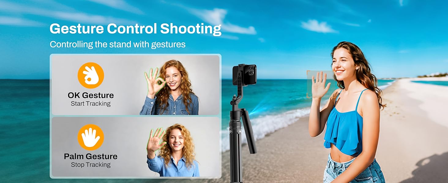 Gesture Control