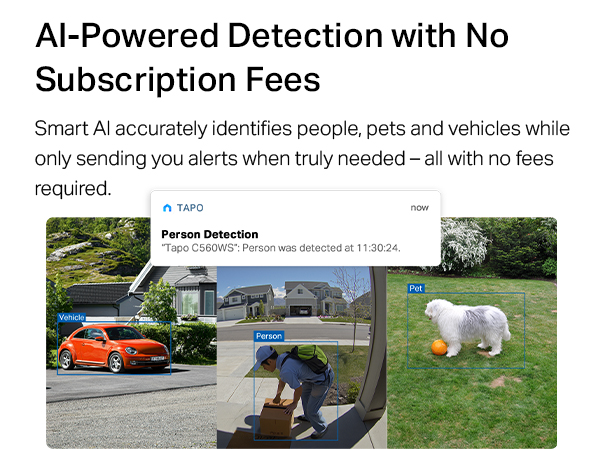 AI-Powered Detection with No Subscription Fees