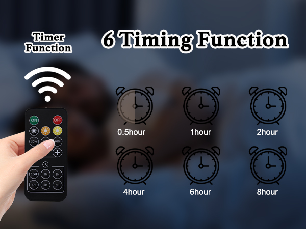 PICTURE LIGHT WITH TIMER